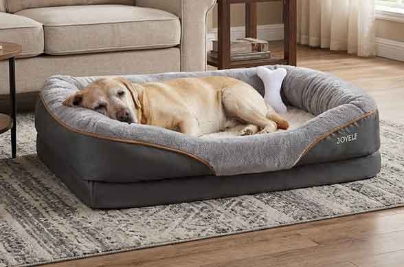 Cama ortopédica para perro senior con espuma viscoelástica y soporte articular