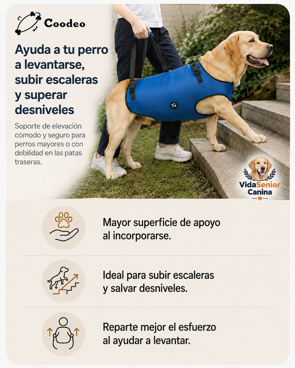 Perro mayor con arnés COODEO Dog Lift recibiendo ayuda para subir escaleras