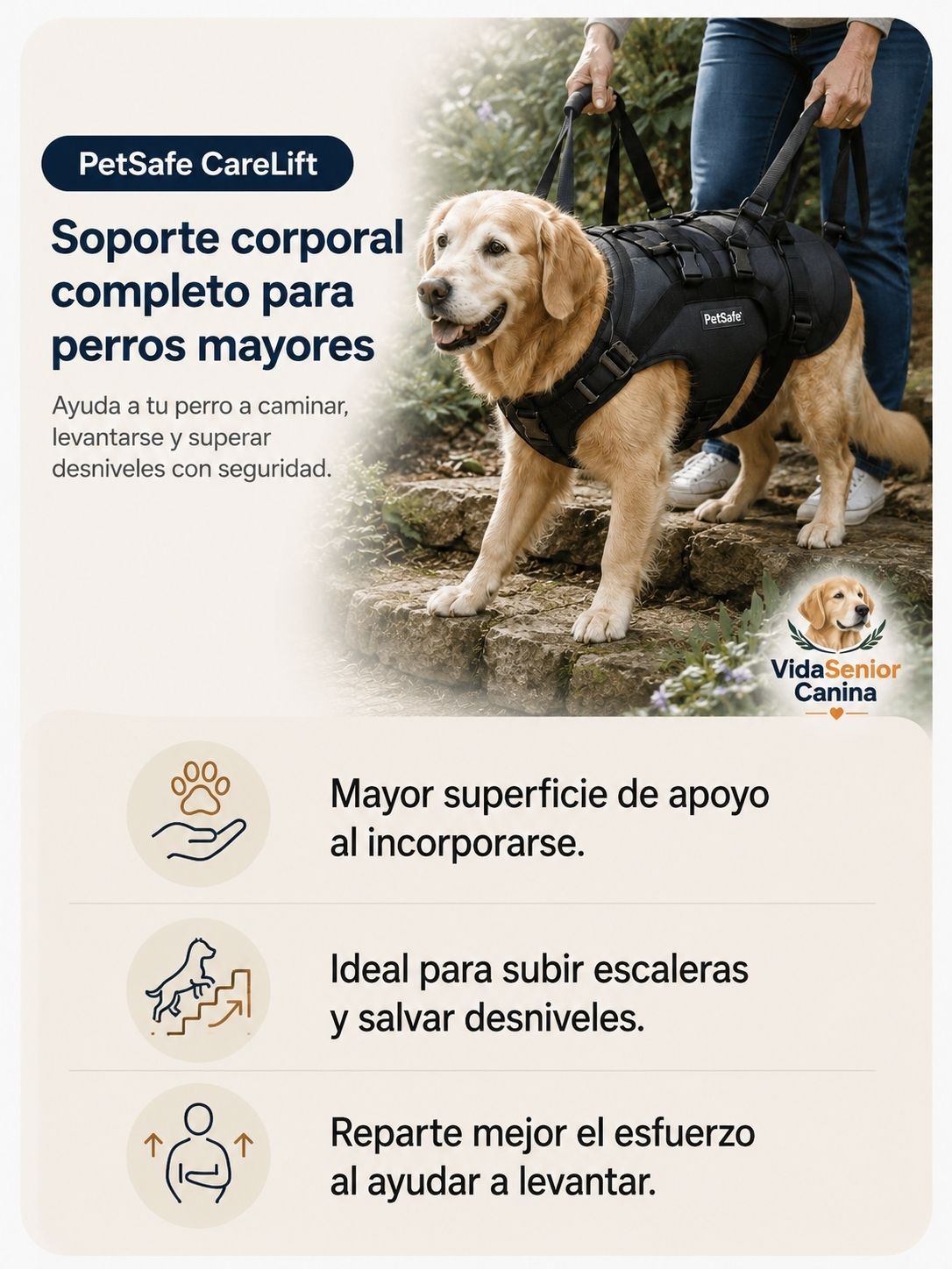 Perro senior con arnés PetSafe CareLift de soporte corporal completo