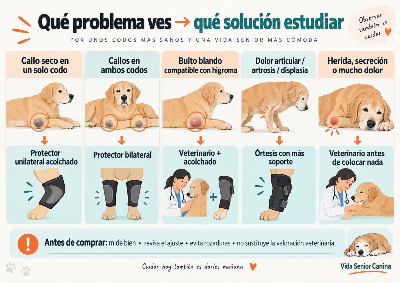 Infografía para elegir protector de codo en perros según callos de apoyo, higroma, dolor articular o herida